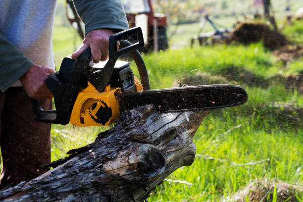 Best Tree Mulching  in Baldwin, PA